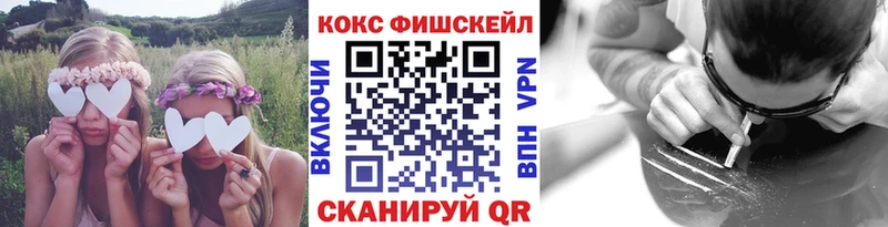 Cocaine FishScale  закладка  Бавлы 