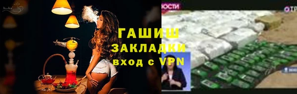 PSILOCYBIN Алзамай