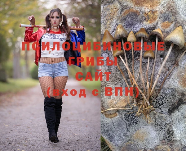 экстази Алексеевка
