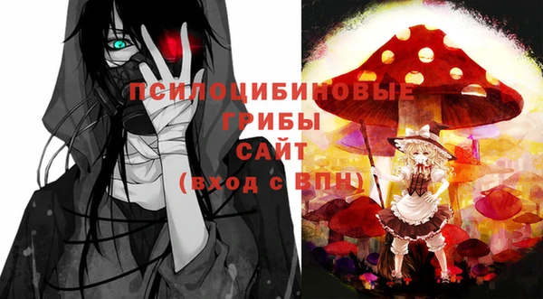 PSILOCYBIN Алзамай