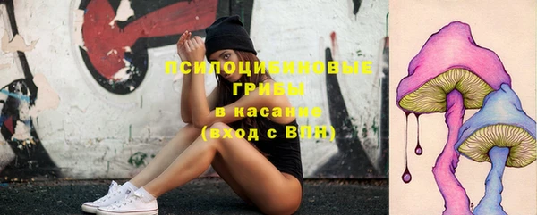 шишки Абаза